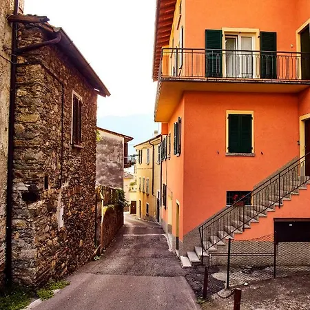 17 Sweet אקסריה