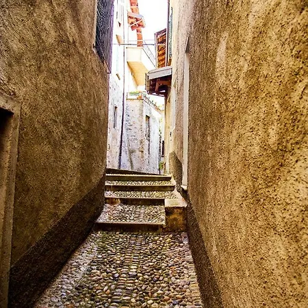 17 Sweet אקסריה